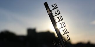 El calor extremo deja más de 1.180 muertes en España en solo dos meses Añadir un título (1)