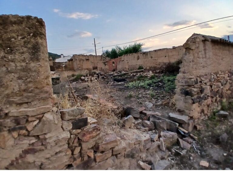 alcornocal Piedrabuena 1