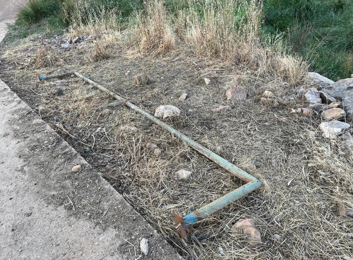 alcornocal Piedrabuena 3