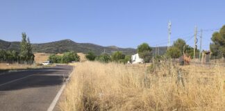 cuneta