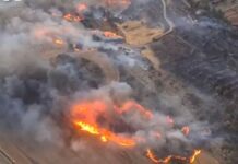 incendio Lleida