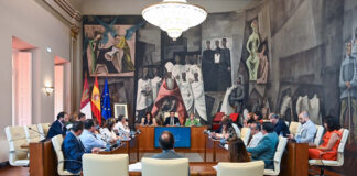 pleno diputación