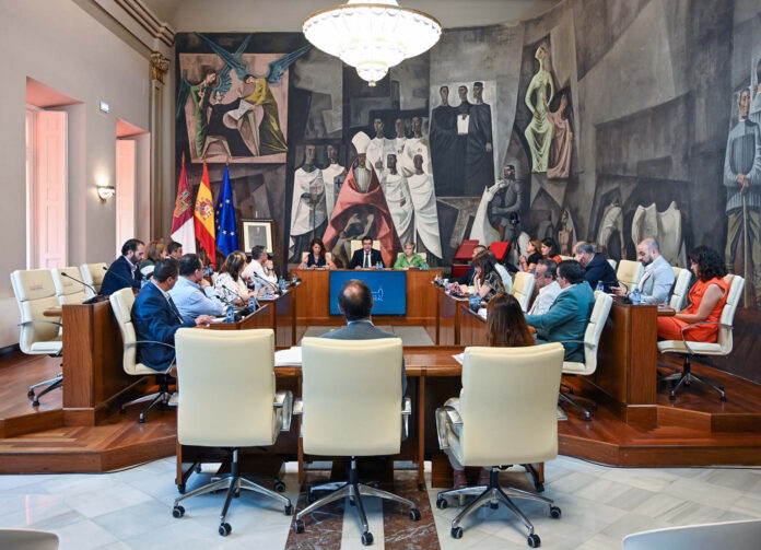 pleno diputación