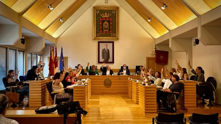 pleno julio aprobacion