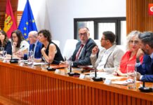 psoe pleno junio 6 1 17