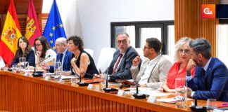 psoe pleno junio 6 1 17