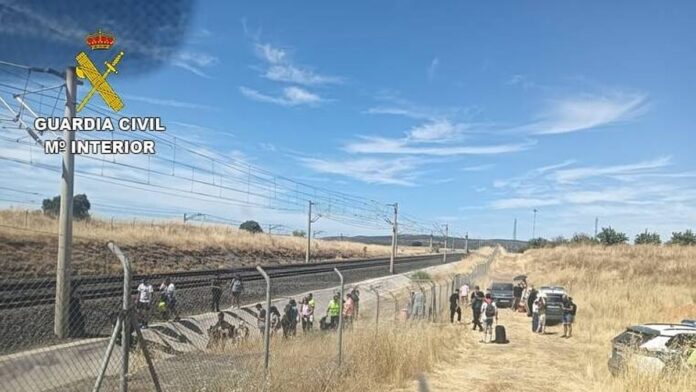 gc tren