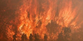 incendio forestal zamora