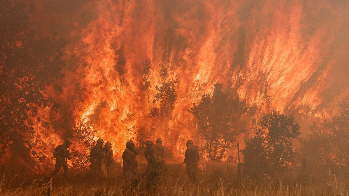 incendio forestal zamora