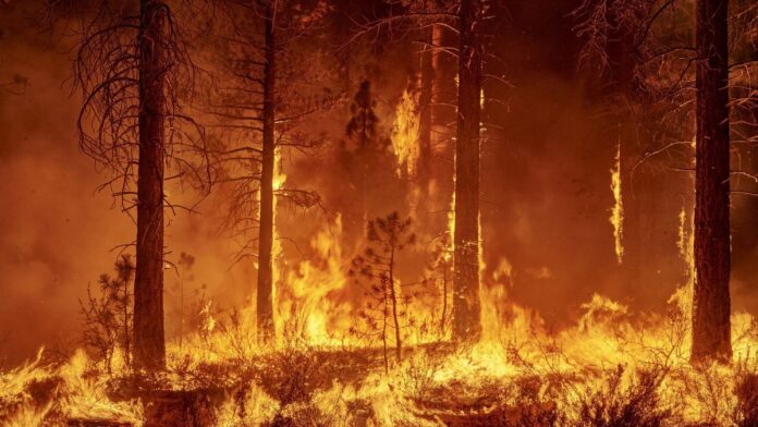 incendios forestales