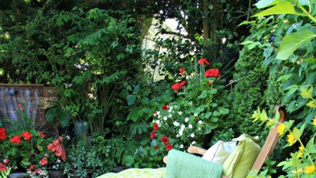 jardin