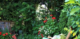 jardin