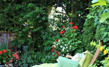 jardin