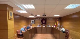 pleno almaden