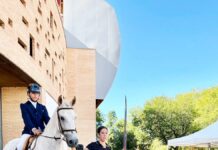 Jinete compitiendo en el II Concurso de Doma en la Plaza de Toros de Puertollano durante las fiestas de septiembre 2025