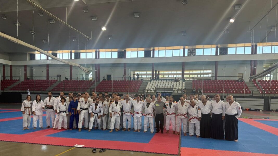 Participantes en el Polideportivo Antonio Rivilla celebran el récord Guinness de 25 horas seguidas de artes marciales en Puertollano