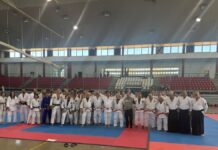 Participantes en el Polideportivo Antonio Rivilla celebran el récord Guinness de 25 horas seguidas de artes marciales en Puertollano