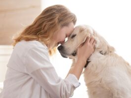 Persona abrazando a su perro como símbolo del creciente vínculo emocional con las mascotas frente al descenso de natalidad