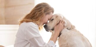 Persona abrazando a su perro como símbolo del creciente vínculo emocional con las mascotas frente al descenso de natalidad