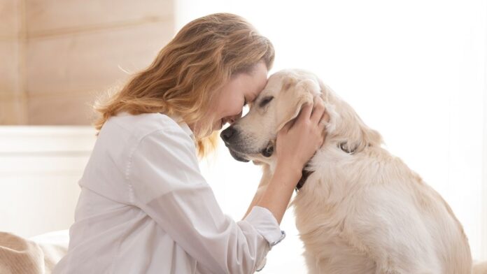 Persona abrazando a su perro como símbolo del creciente vínculo emocional con las mascotas frente al descenso de natalidad