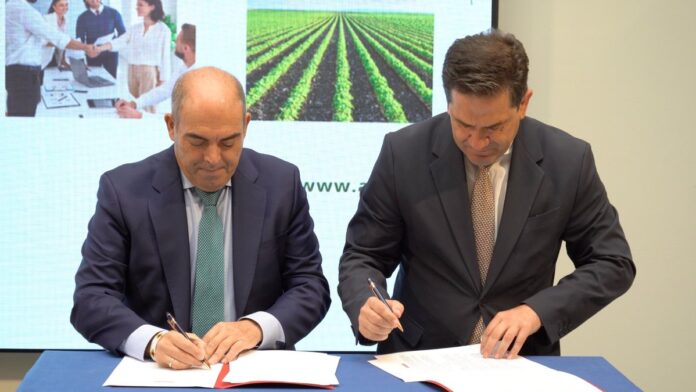 convenio ata diputacion cr convenio ata diputacion cr