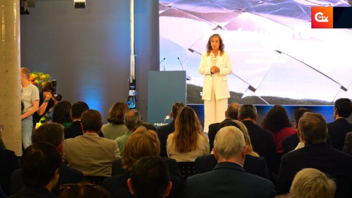 hydnum steel 6 1 13 hydnum steel 6 1 13