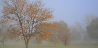Nieblas, lluvias y subida de temperaturas este domingo en Castilla-La Mancha Cielo cubierto y nieblas en zonas altas de Castilla La Mancha durante la jornada del domingo
