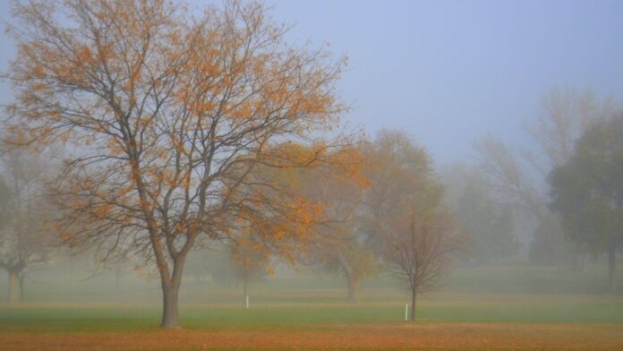 Cielo cubierto y nieblas en zonas altas de Castilla La Mancha durante la jornada del domingo Cielo cubierto y nieblas en zonas altas de Castilla La Mancha durante la jornada del domingo