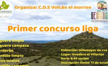 cartel concurso silvestrista