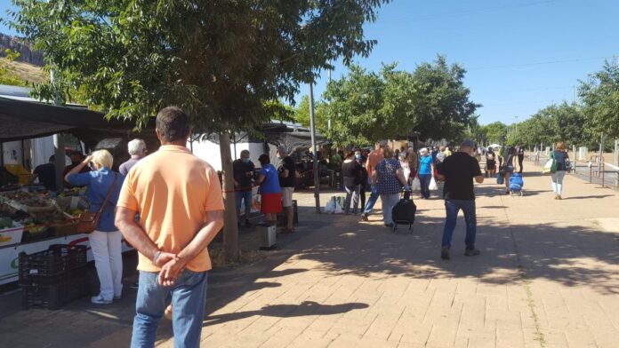 mercadillo7 mercadillo7