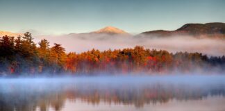 niebla