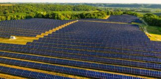 paneles solares