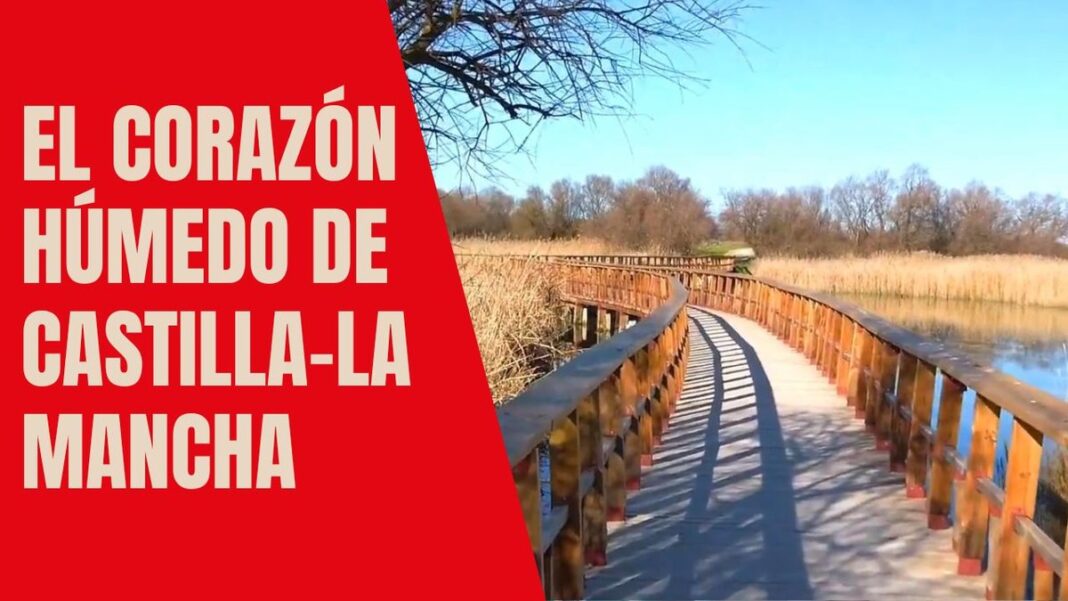 tablas de daimiel