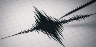 terremoto de magnitud 4 2 en el mar de alboran segun datos del ign