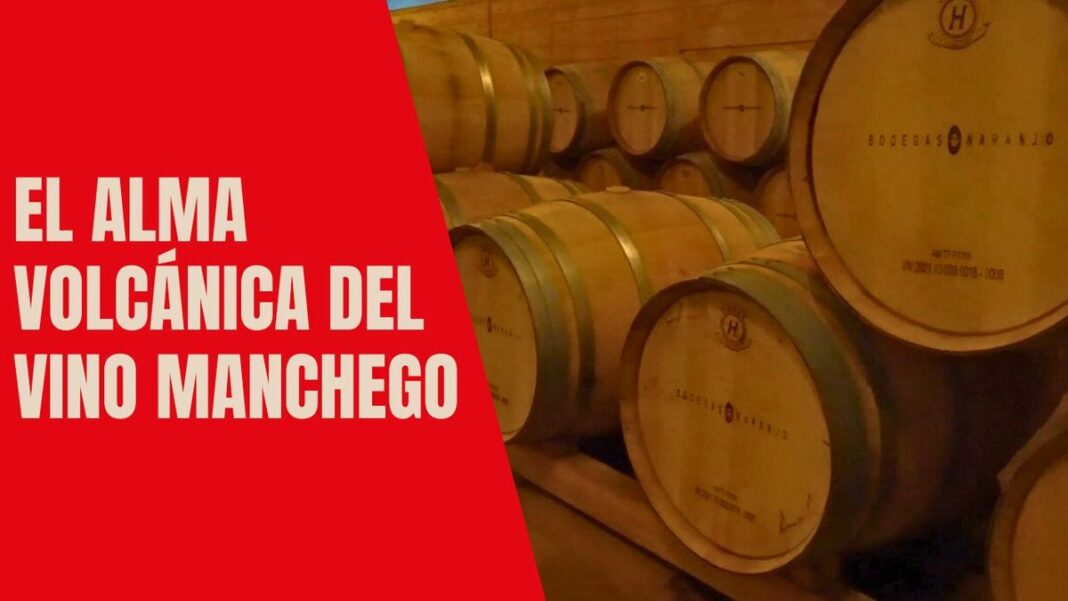 bodegas naranjo