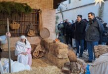 4124fea2ccbe0fbee41008418f2a531d 2 xl