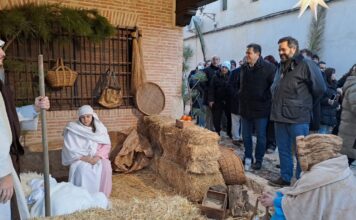 4124fea2ccbe0fbee41008418f2a531d 2 xl