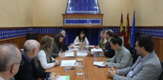 blanca fernandez en comision seguimiento paseo del bosque 1