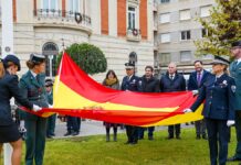 dia de la constitucion