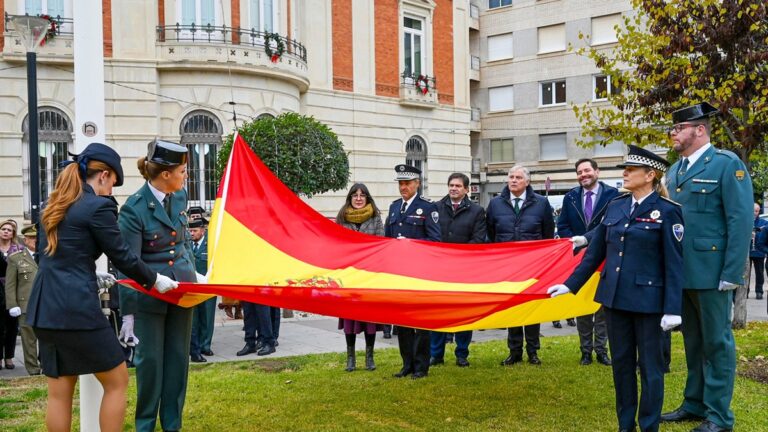 dia de la constitucion