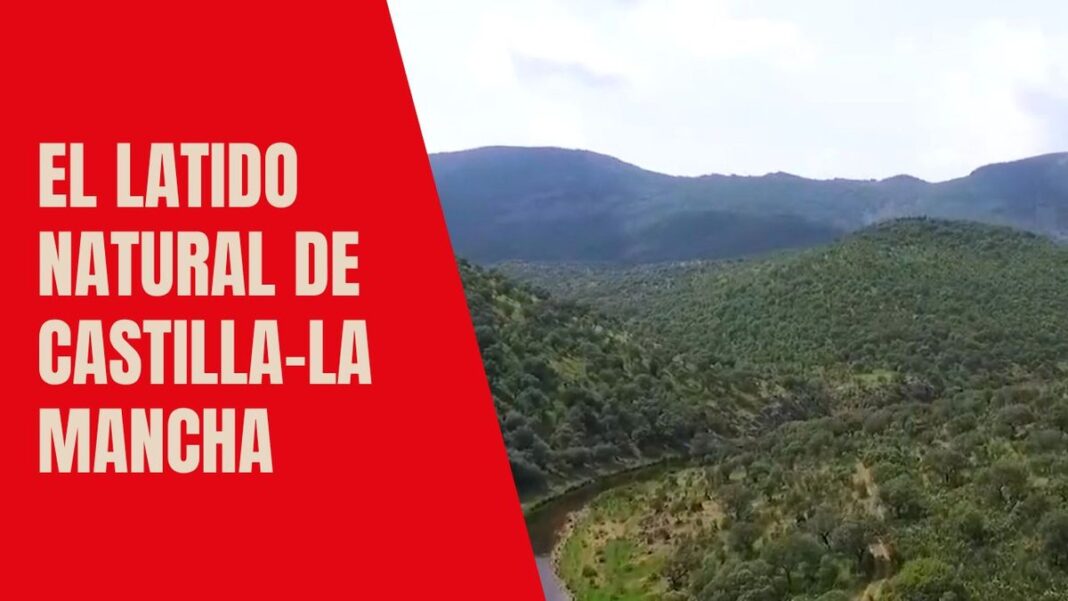 el latido natural de castilla la mancha