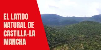 el latido natural de castilla la mancha