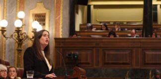 El PSOE acusa al PP de alarmismo y mentiras sobre la provincia de Ciudad Real imagen cristina lopez congreso