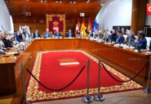 pleno enero ruiz 6 1 17