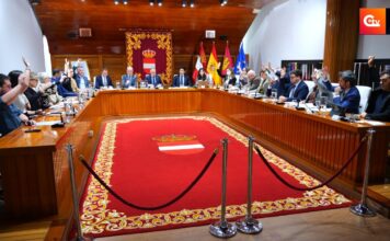 pleno enero ruiz 6 1 17