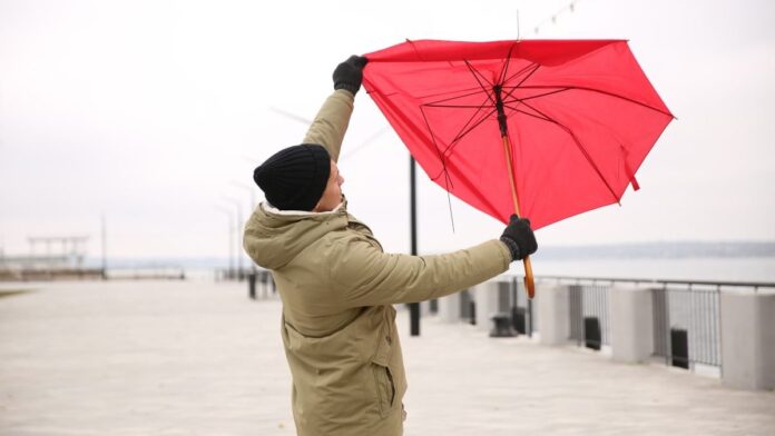 temporal frio viento