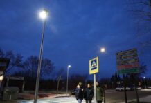 toledo paso de peatones