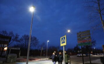 toledo paso de peatones