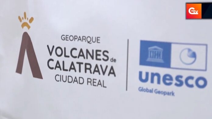 captura de pantalla 2026 02 03 162919 captura de pantalla 2026 02 03 162919