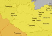 captura de pantalla 2026 02 07 135713